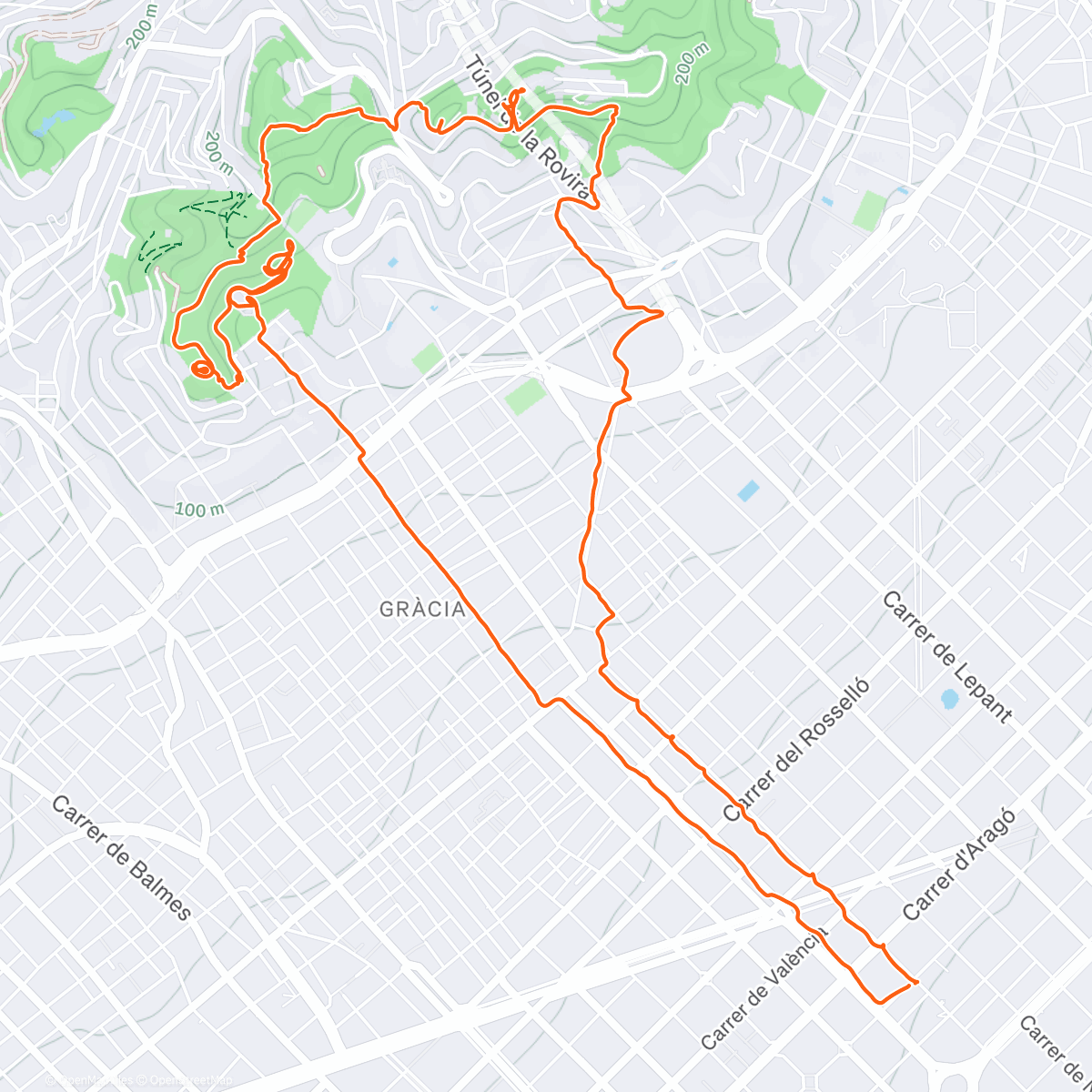 Карта физической активности (Carmel n Guell)