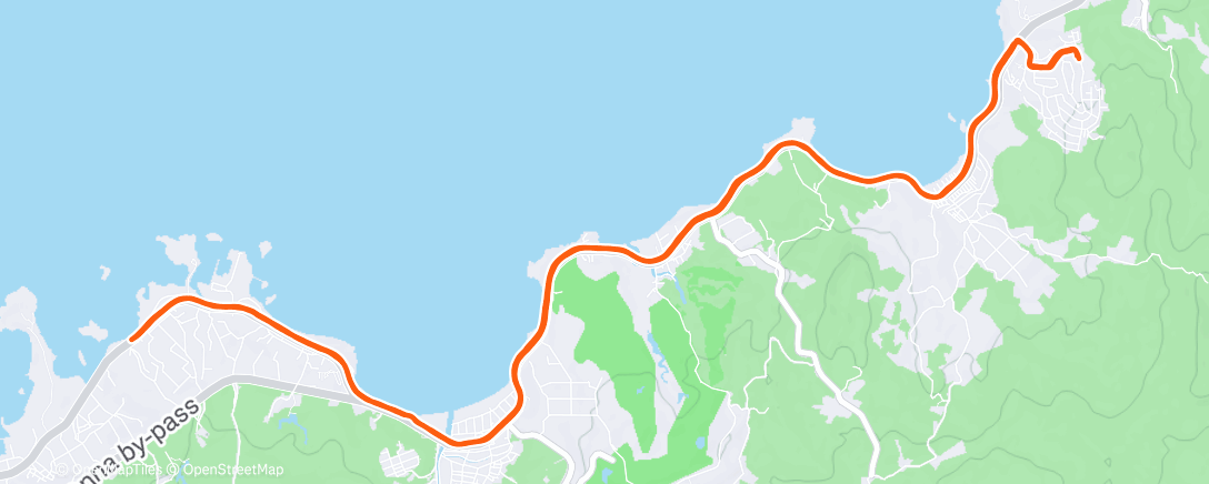 Карта физической активности (Evening Run)