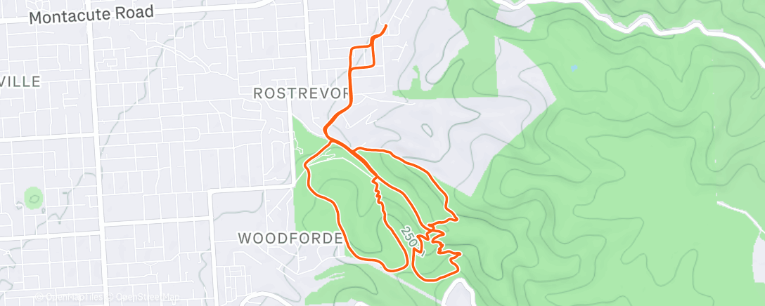 Map of the activity, Morning Trail Run