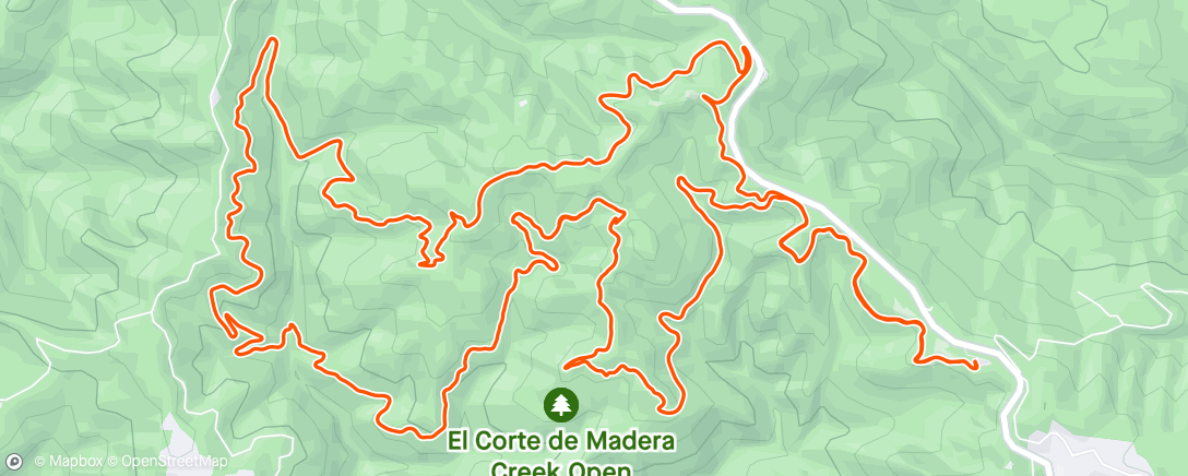 Map of the activity, eCdM loop with Christoph