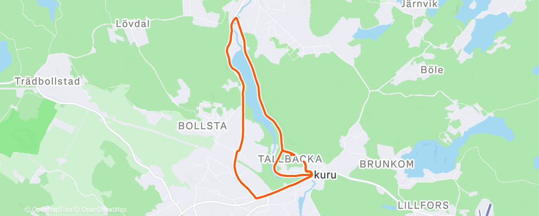 Карта физической активности (Evening Run)