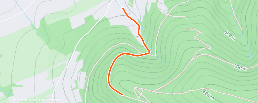 Map of the activity, Morning Walk