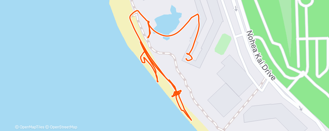 Map of the activity, Morning Swim