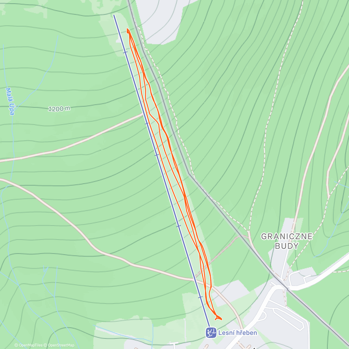 Карта физической активности (Morning Workout)