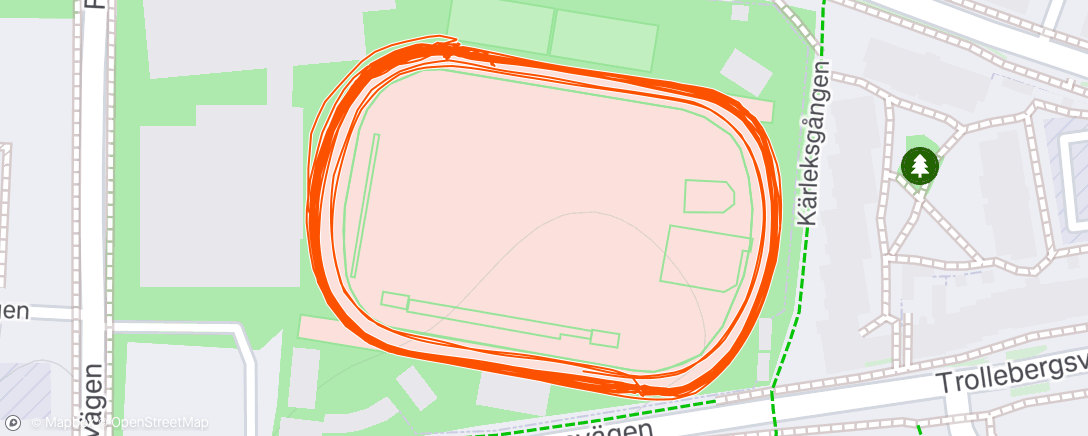 Map of the activity, Evening Run