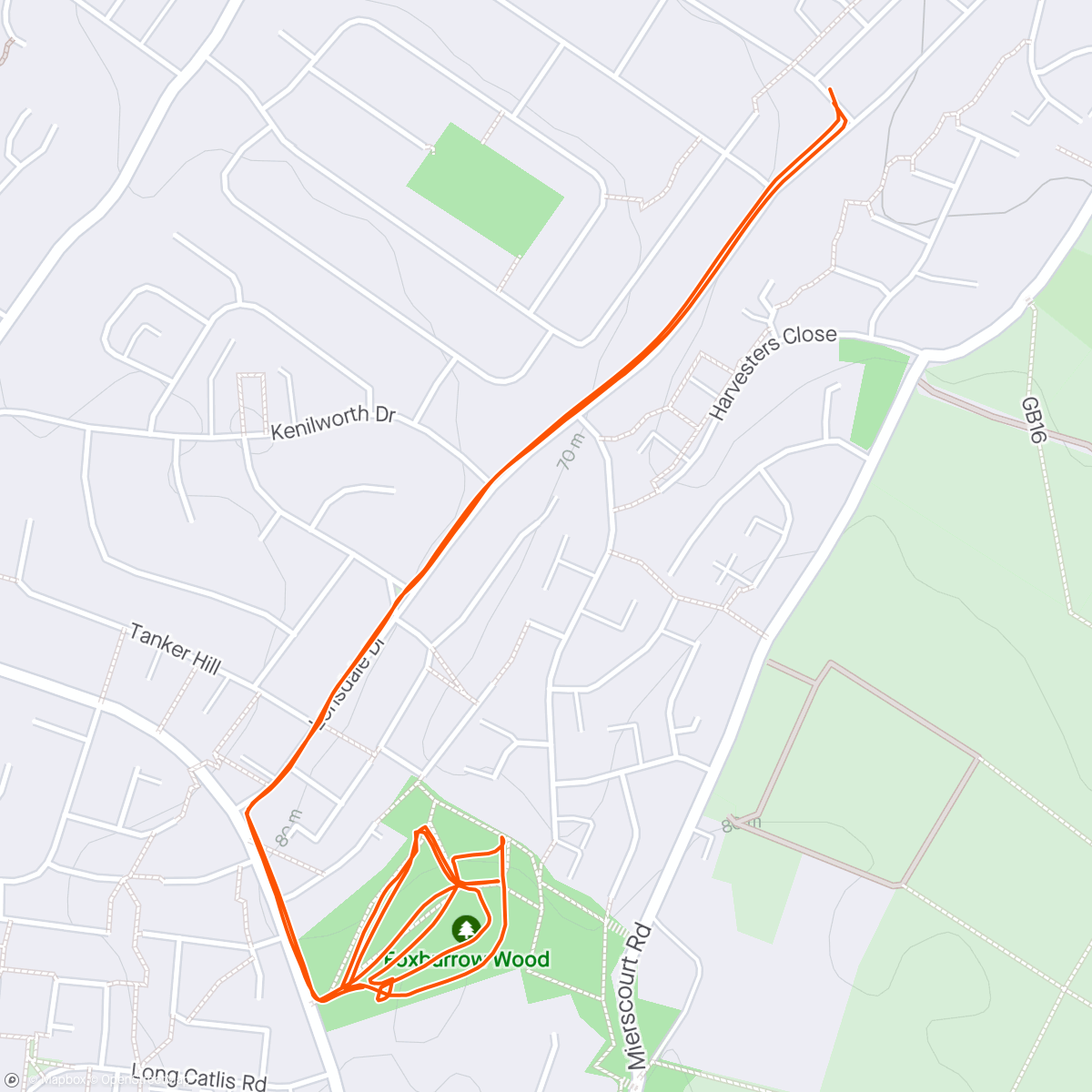 Map of the activity, Evening Run 4