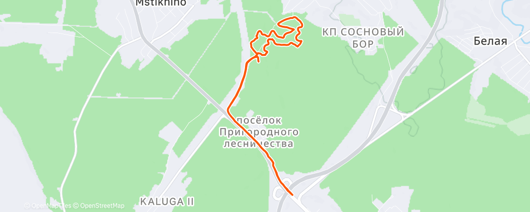 Карта физической активности (Вечерний забег)