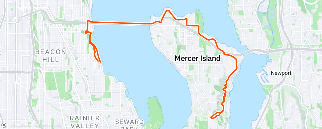 Map of the activity, The tree started it