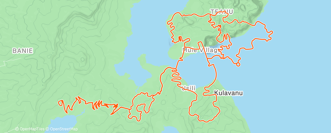 Карта физической активности (Vo2max + endurance)