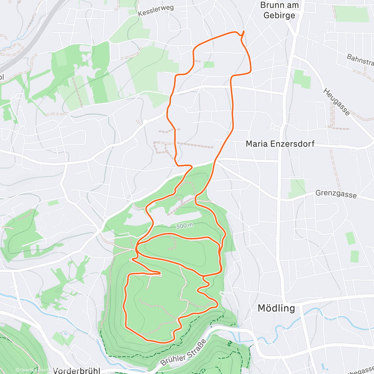 Map of the activity, Lunch Trail Run