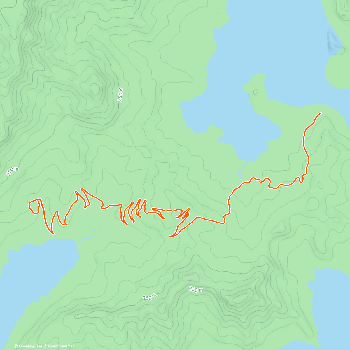 Карта физической активности (Zwift - Road to Sky in Watopia)