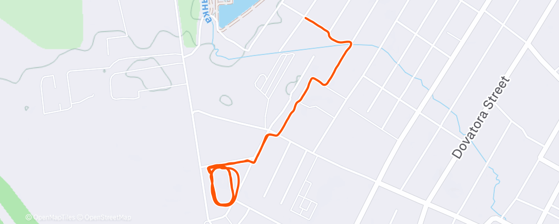 Карта физической активности (Утренний забег)