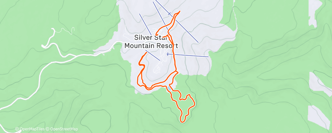 Карта физической активности (Afternoon Nordic Ski)