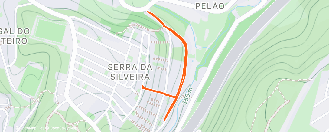 Карта физической активности (Morning Trail Run)