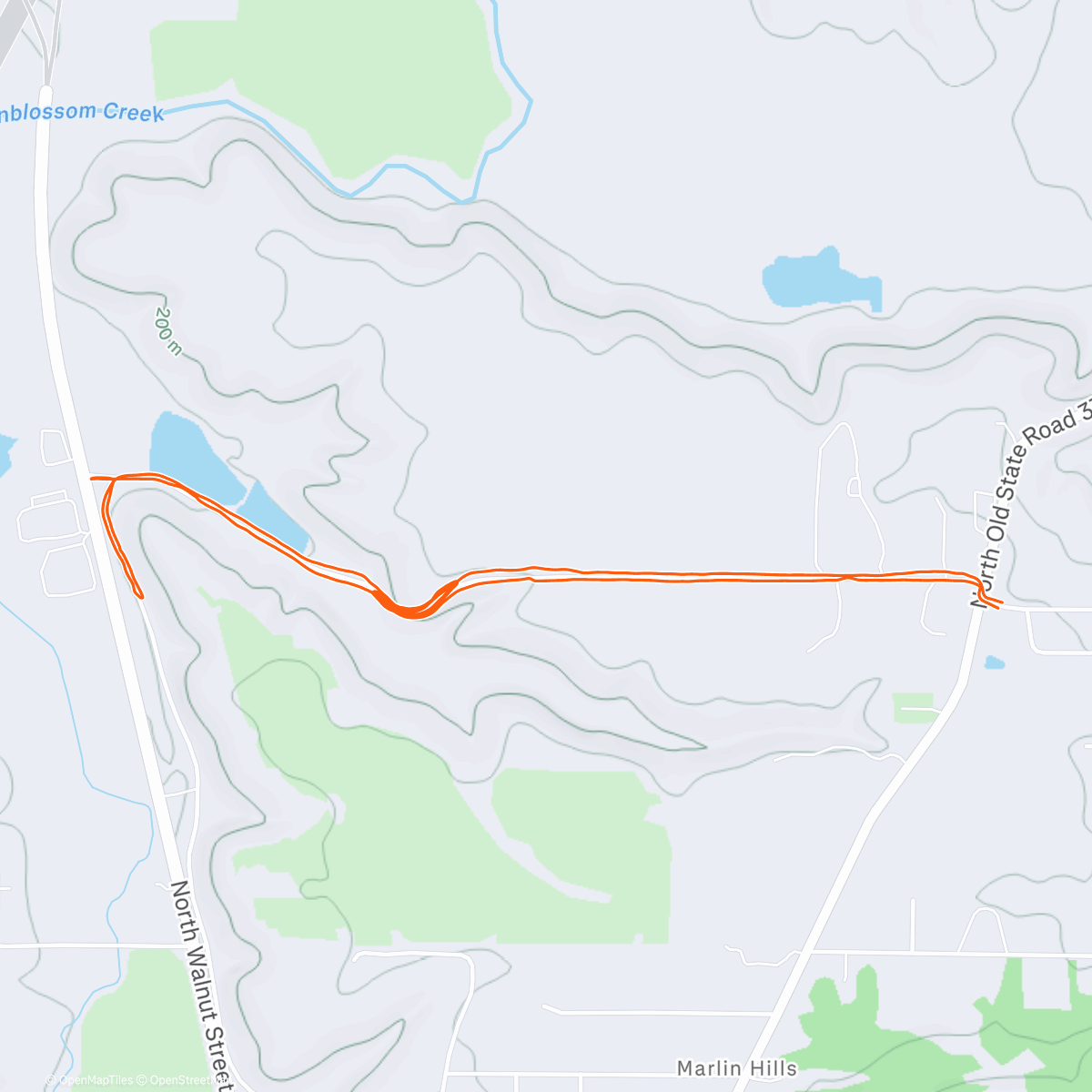 Map of the activity, Game day run