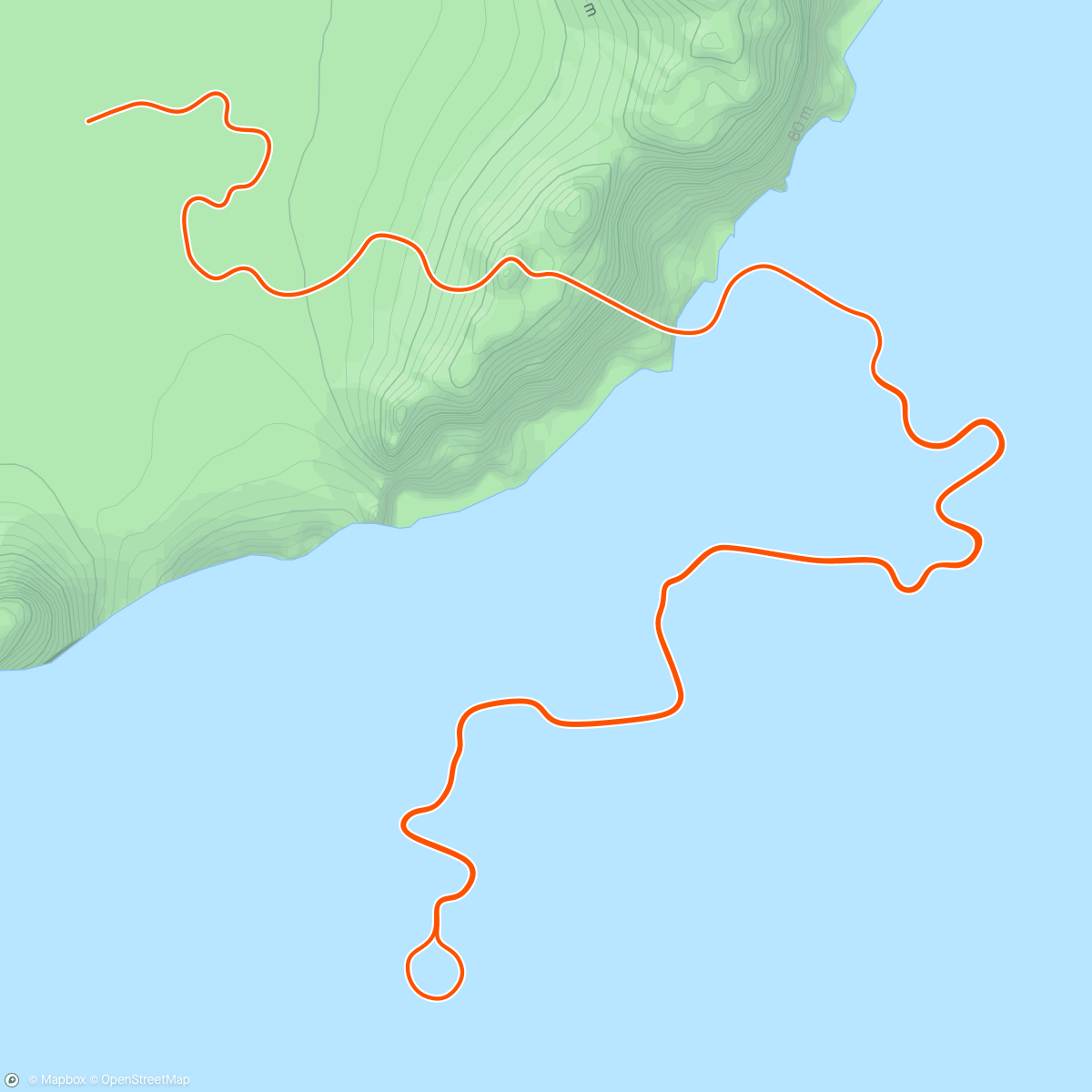 Map of the activity, Zwift - G1 - 4-5h in Watopia