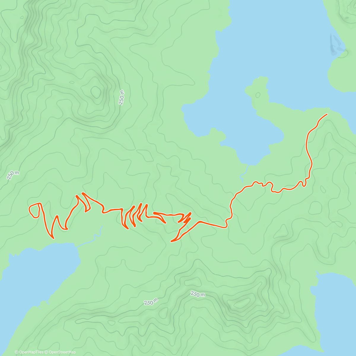 Карта физической активности (Ollie 🤝 Mom and Dad 🤝 CAKE RIGHT IN THE FACE)