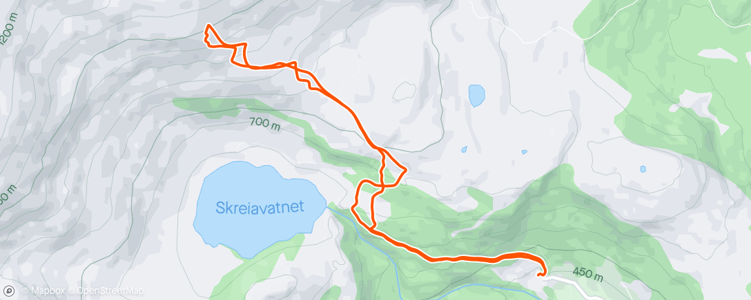 Carte de l'activité Afternoon Backcountry Ski