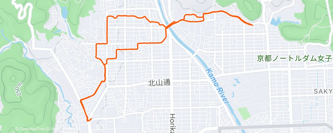 Map of the activity, BU