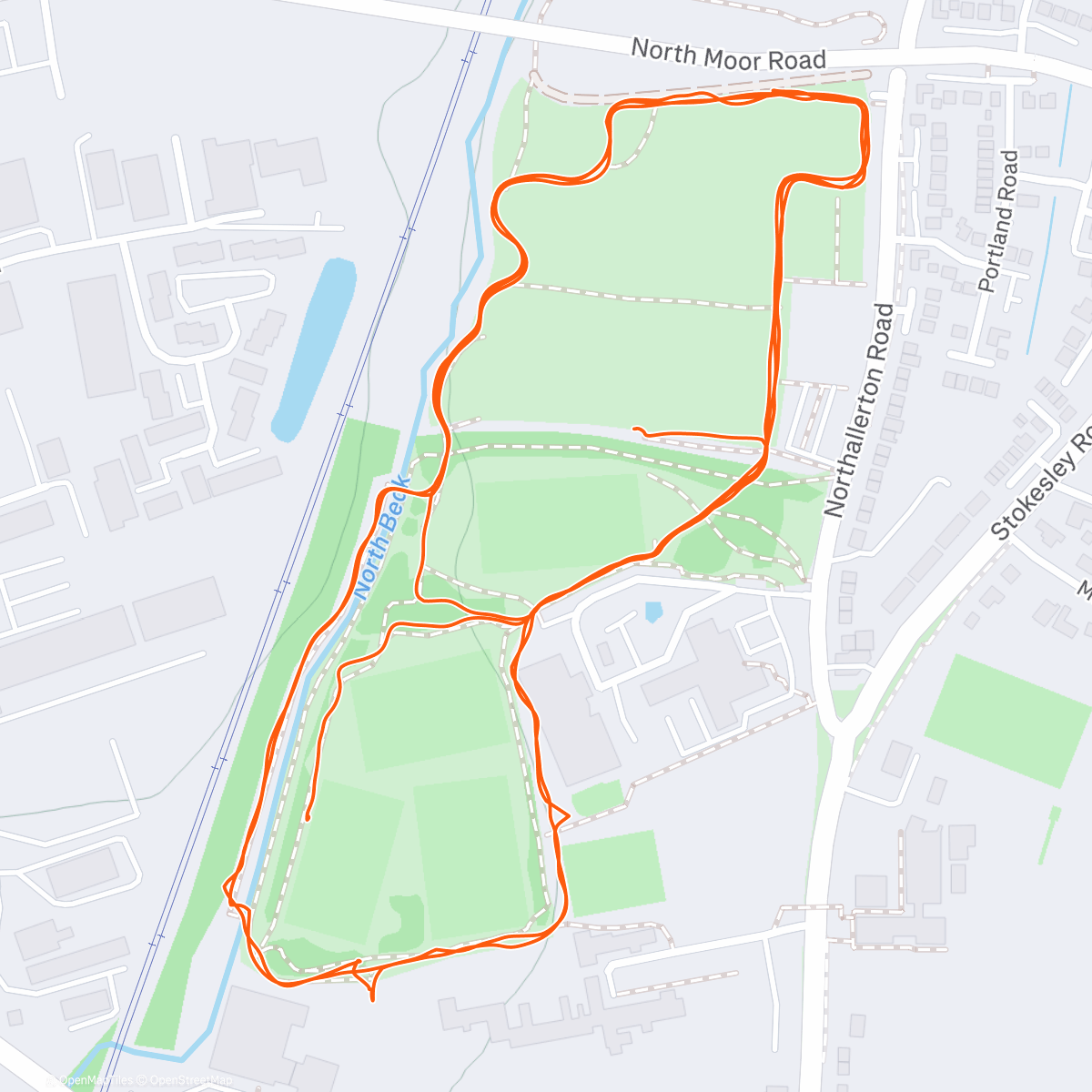 Map of the activity, Nothing says Christmas more than a festive dolphin