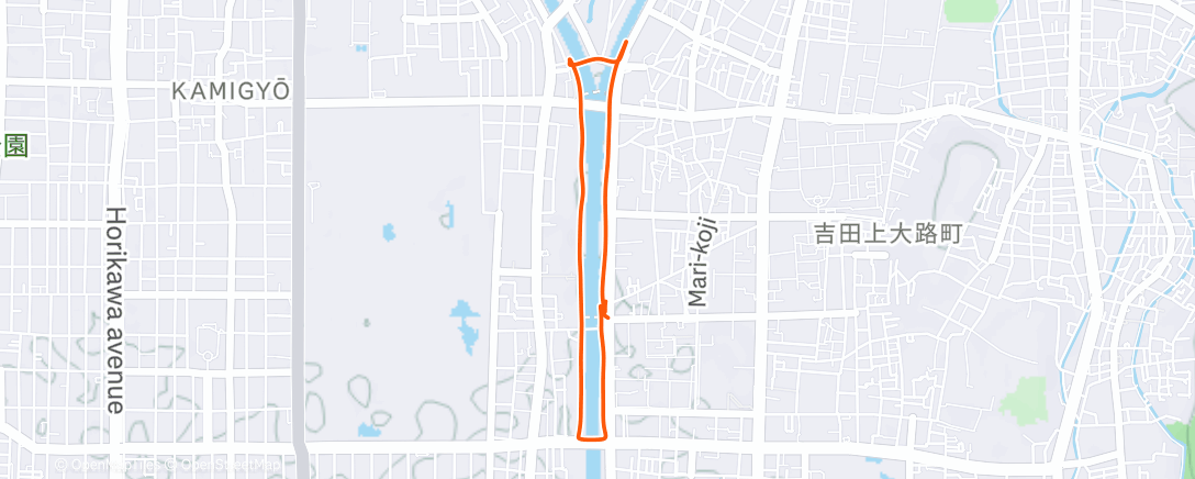 Map of the activity, 夕方のランニング
