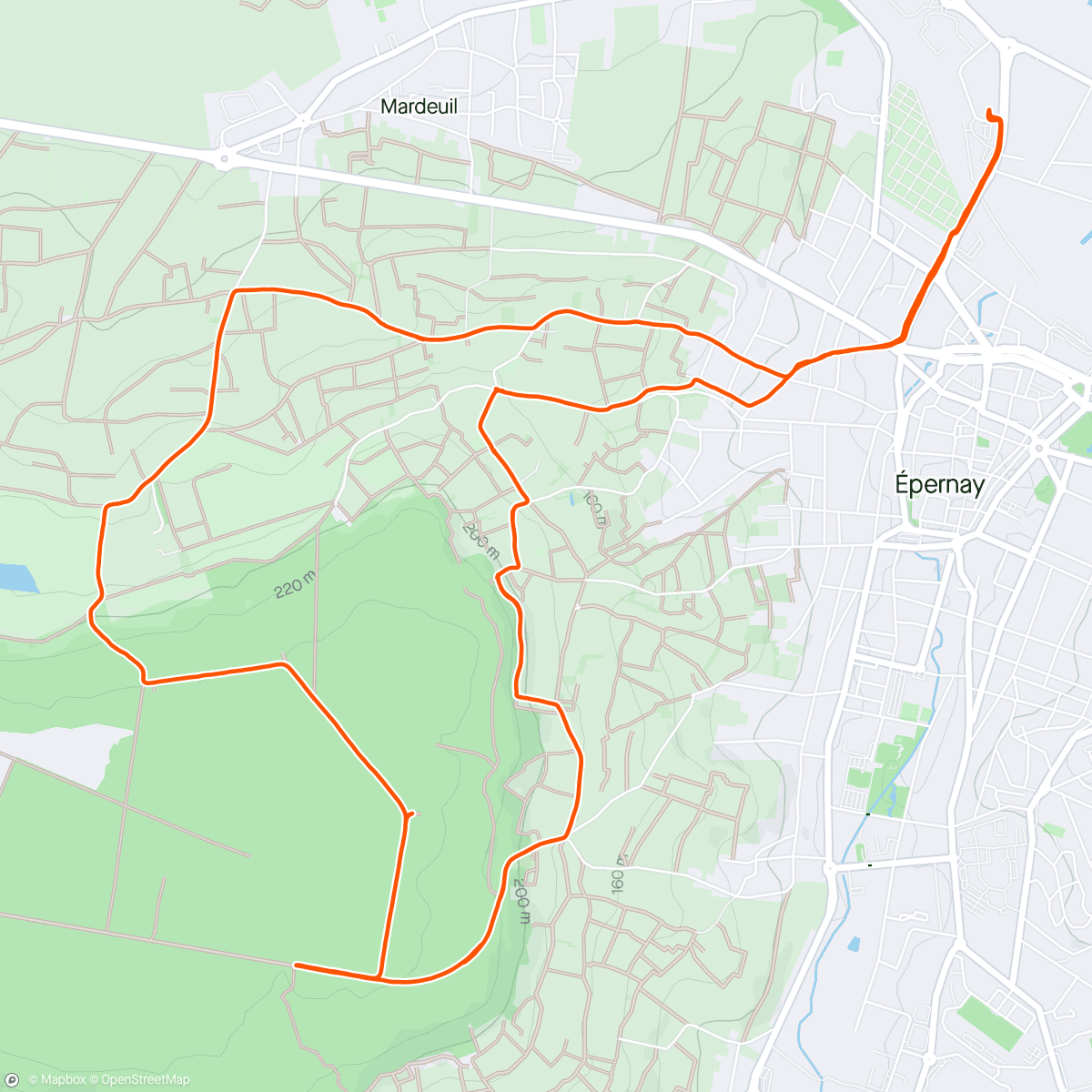 Map of the activity, [🏃🏻‍♂️🏃🏻‍♀️ Balade à deux sur les hauteurs d’Epernay 🍾 • J - 3 VVX 🌋]