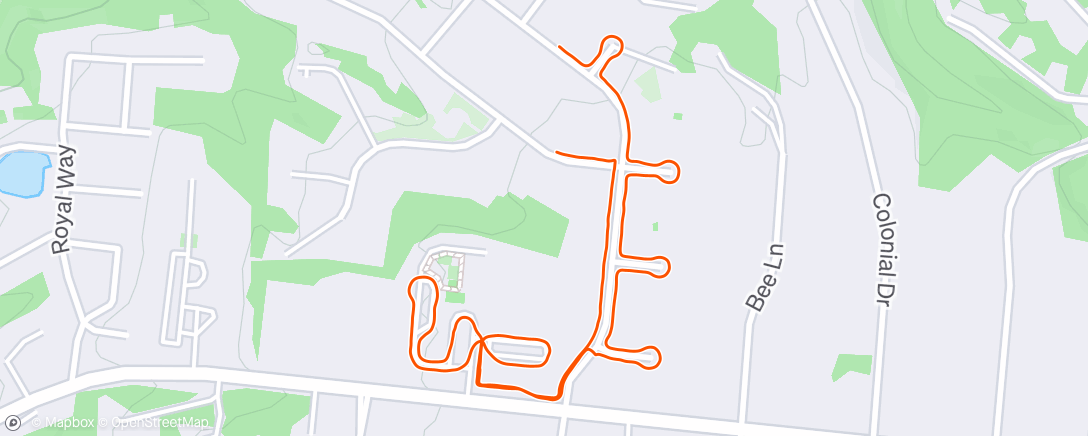 Map of the activity, Afternoon Walk