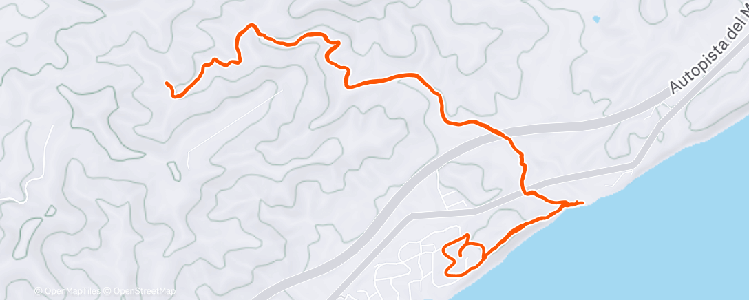 Карта физической активности (Lunch Run)