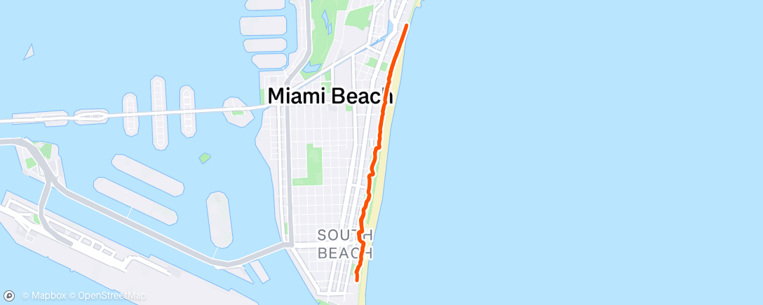 Map of the activity, Morning Run