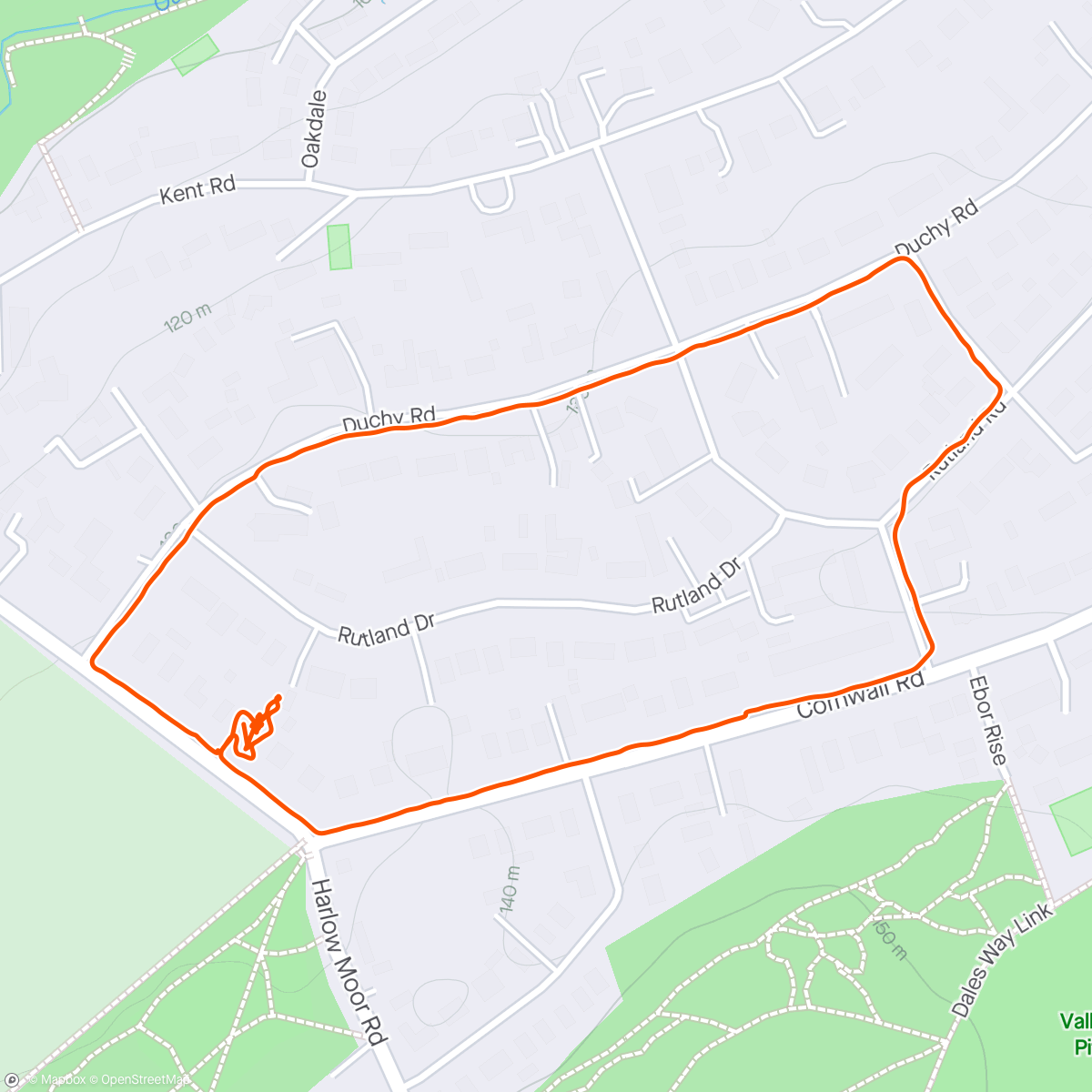 Map of the activity, Afternoon stroll - soooooo 🌬️ 🐾🐾🚶‍♀️🏡 40km/h