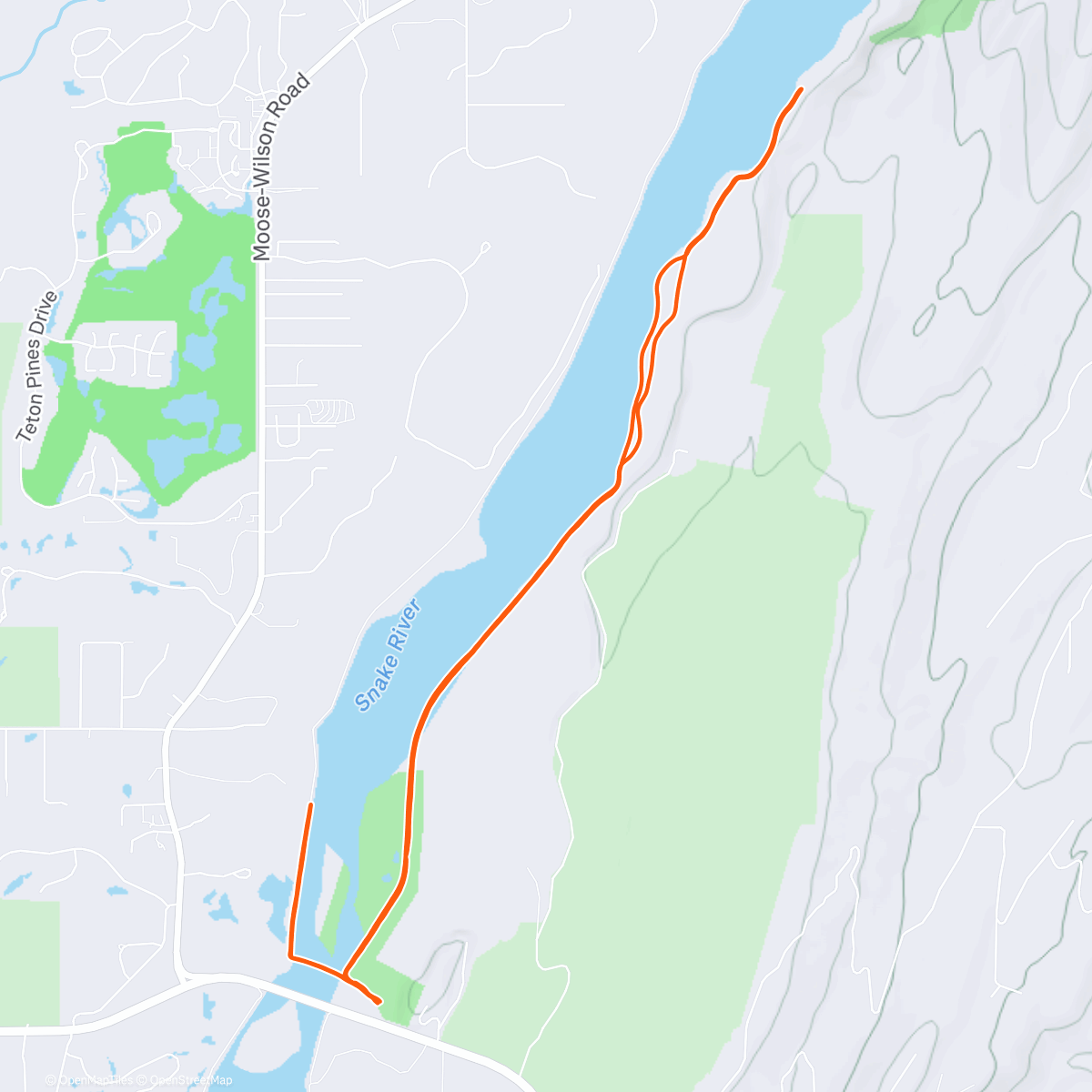 Map of the activity, 20/20/20