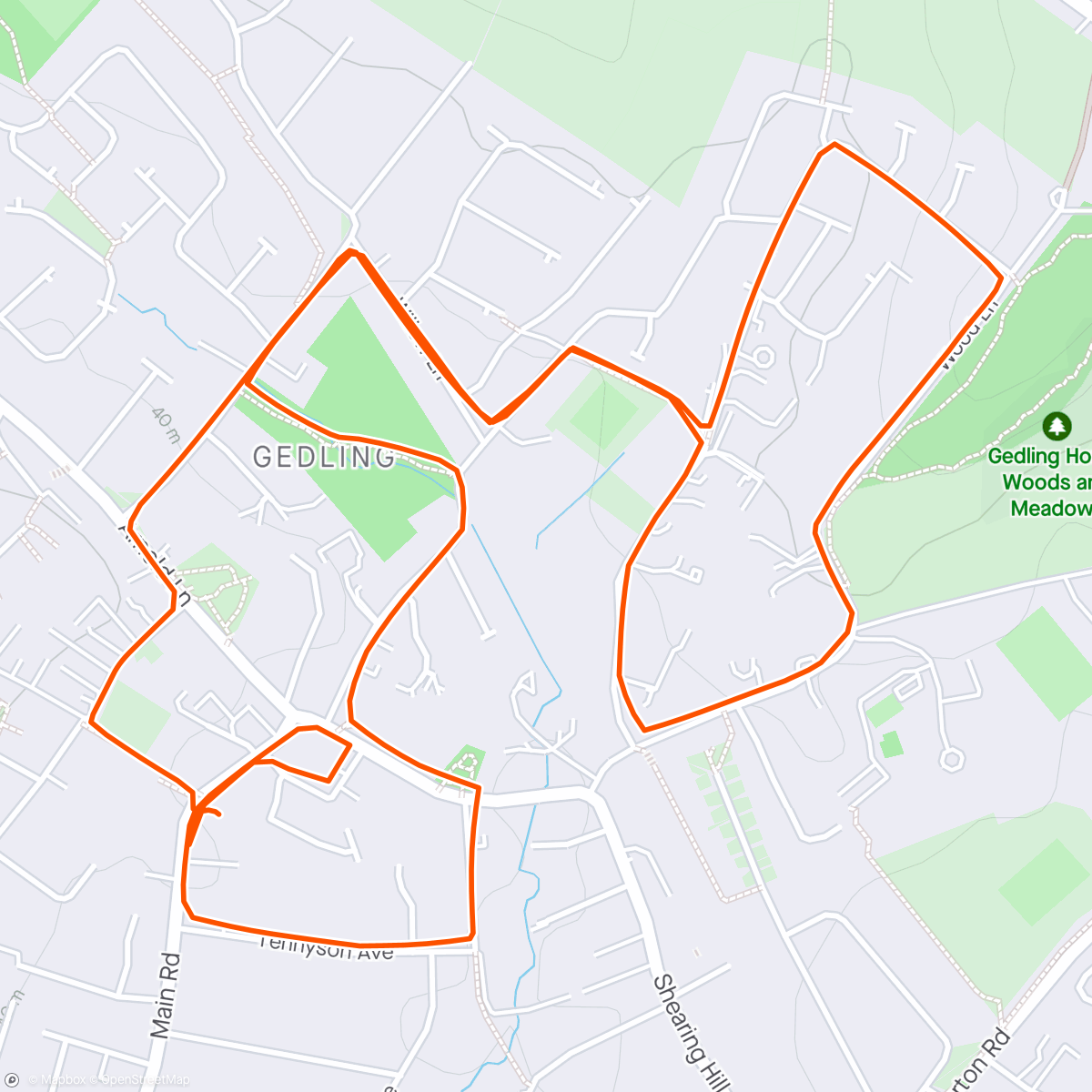 Map of the activity, Local no dog dog route