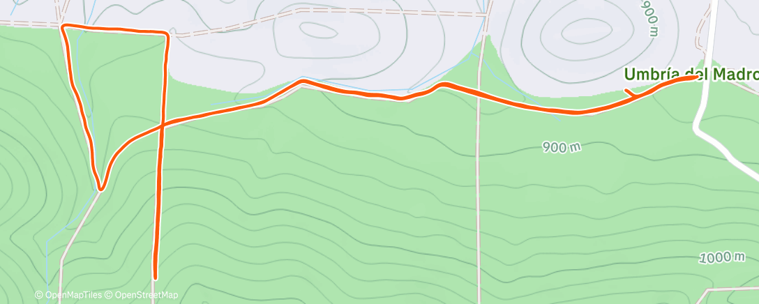 Карта физической активности (8x100+ apretando 🔥)