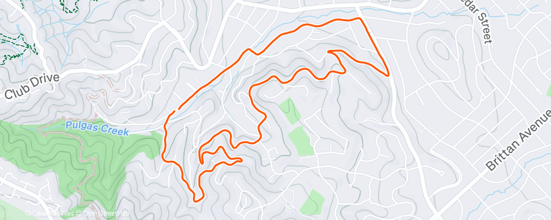 Карта физической активности (Lil Sumting)