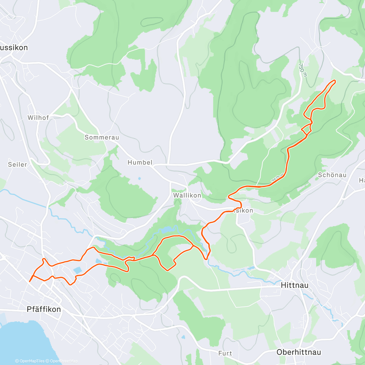 Карта физической активности (Morning Trail Run)