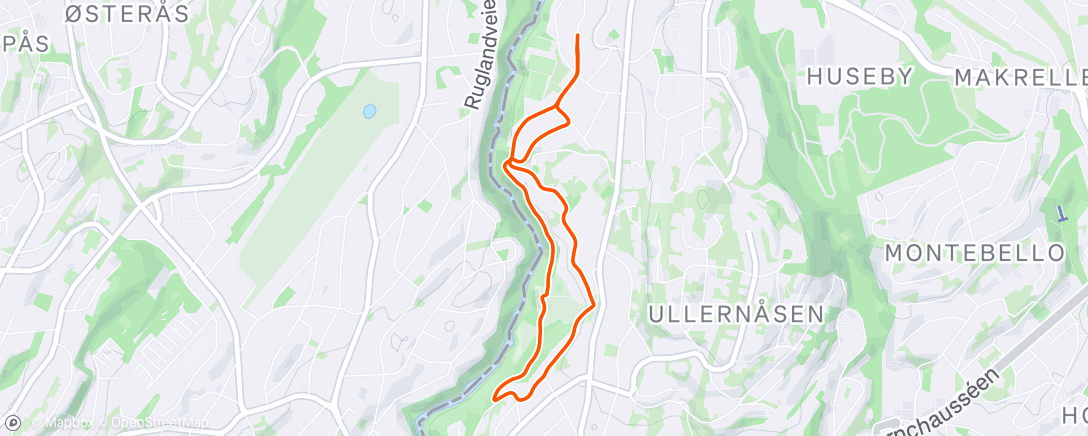 Map of the activity, Evening Run