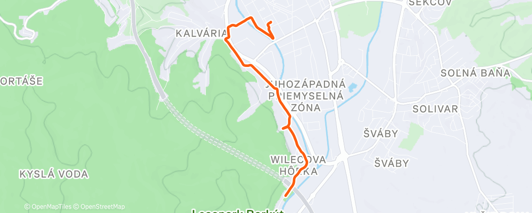 Карта физической активности (Evening Run 1/2)