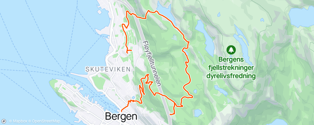 Карта физической активности (Evening Hike, opp Stoltzen  og ned v/Fløien)