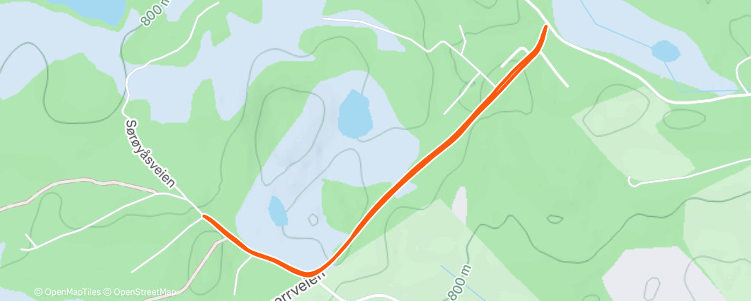 Карта физической активности (Afternoon Walk)