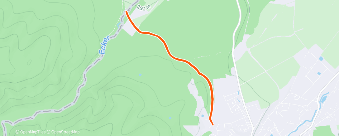 Map of the activity, Lunch Run