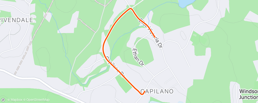 Map of the activity, Morning Run