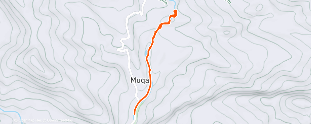 Карта физической активности (Middagwandeling)