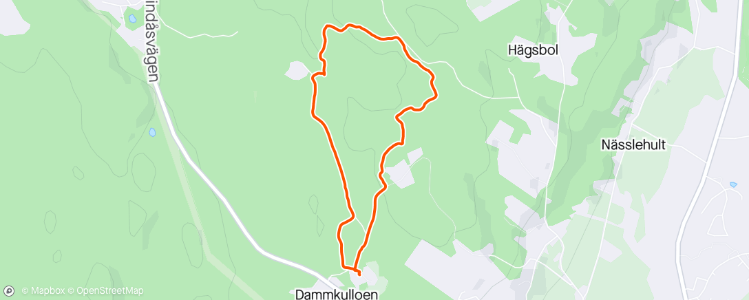 Map of the activity, Trail Run with 🐕🐕