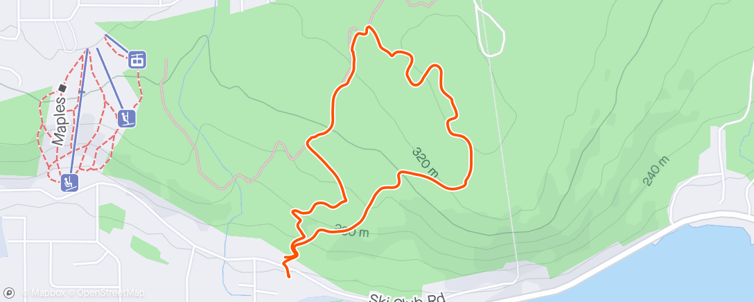 Карта физической активности (Afternoon Dog Hike 🐕🚶)