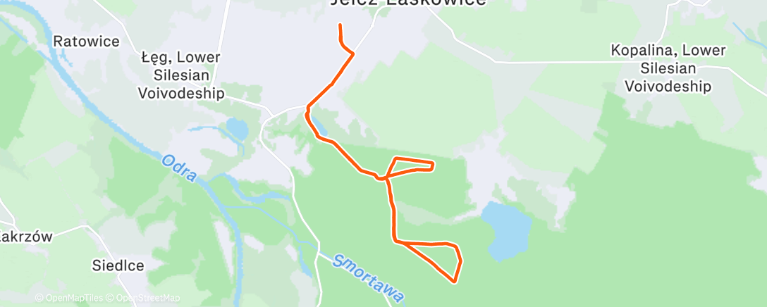 Карта физической активности (Long Run)