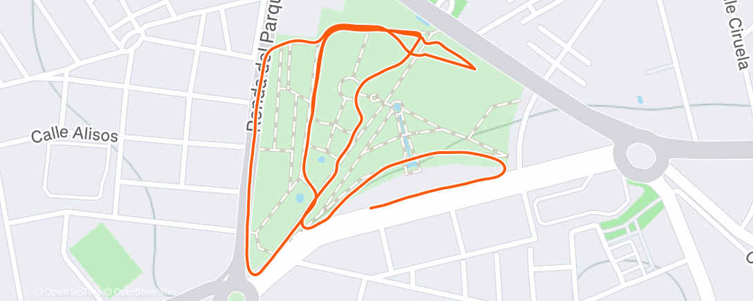 Карта физической активности (Calentamiento)