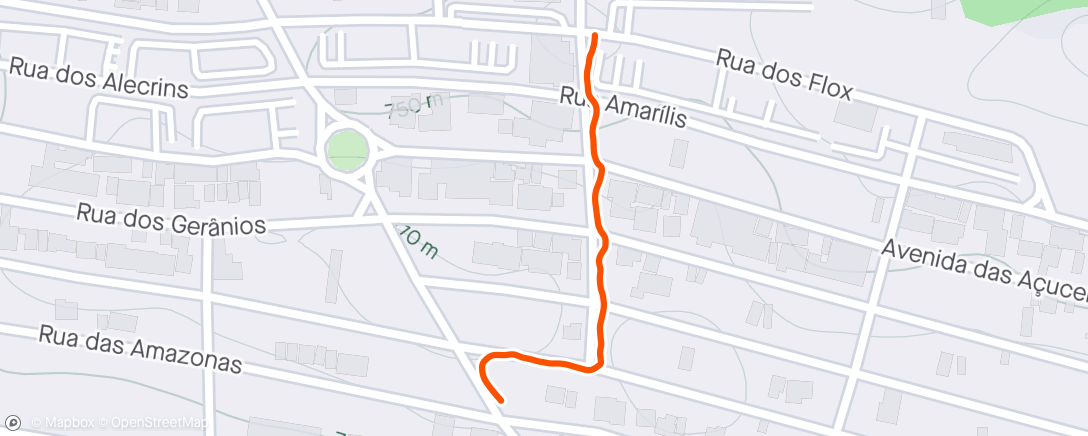 Map of the activity, Caminhada a tarde