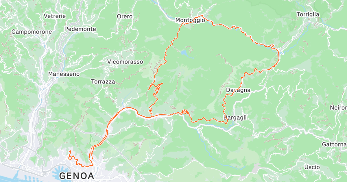 www.strava.com