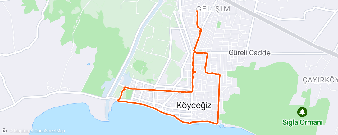 Map of the activity, Köyceğiz