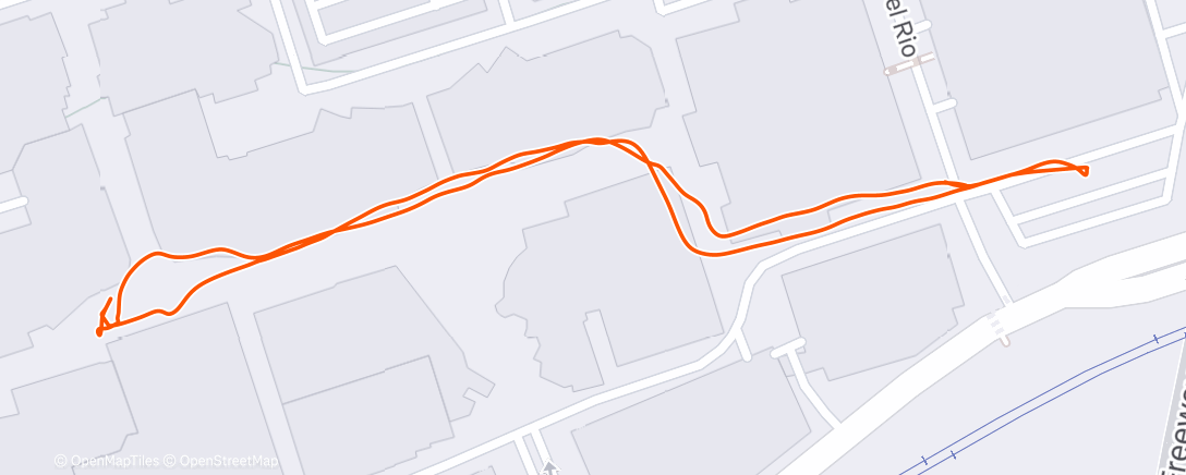 Карта физической активности (Morning Walk)